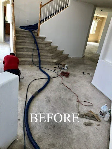 Get Green Carpet
