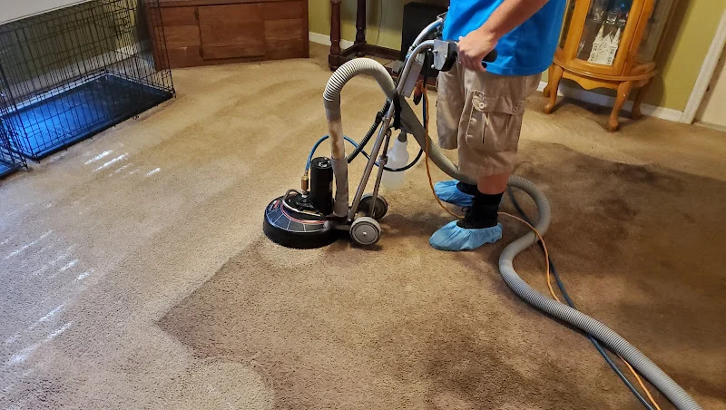 Steam Clean My Carpets, LLC