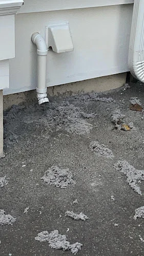 Dryers & Air Duct Dragons