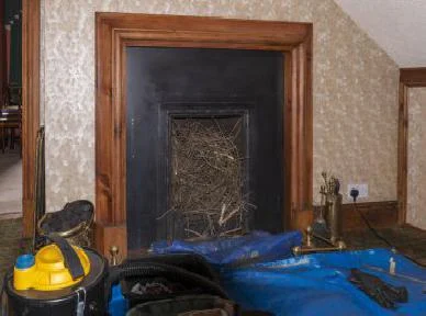 J W Chimney Sweep & Services