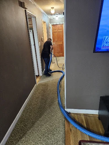 Brooklyn Carpet Cleaning