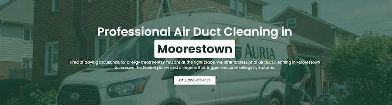 Auria Duct Cleaning and Chimney