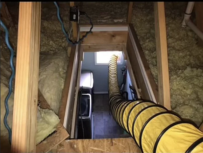 CleanFusion Duct Cleaning Services