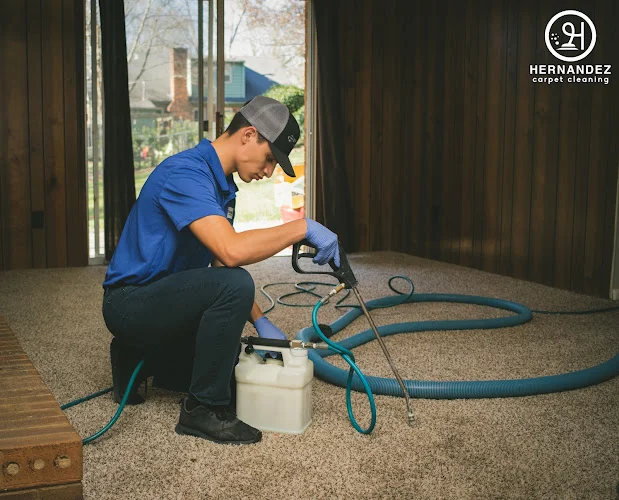 Hernandez Carpet Cleaning