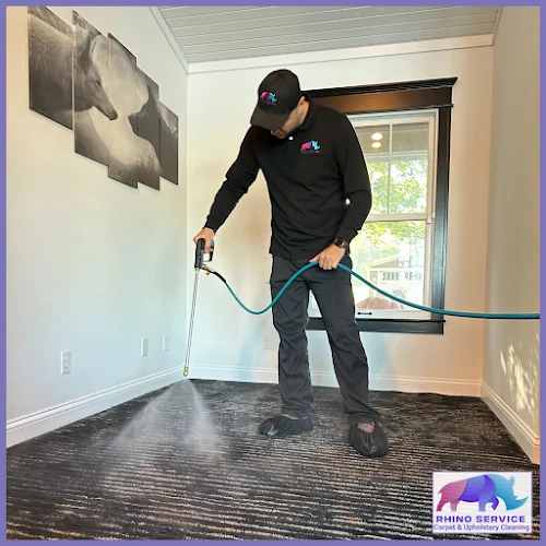 Rhino Service Carpet, Rug & Upholstery Cleaners