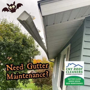 CNY Roof Cleaners