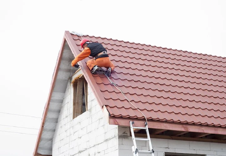 Wade Chimney Inspection