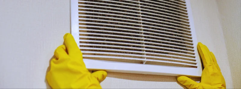 LVJ Home Services