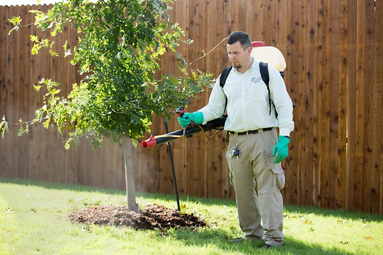 Safe Pro Pest Control
