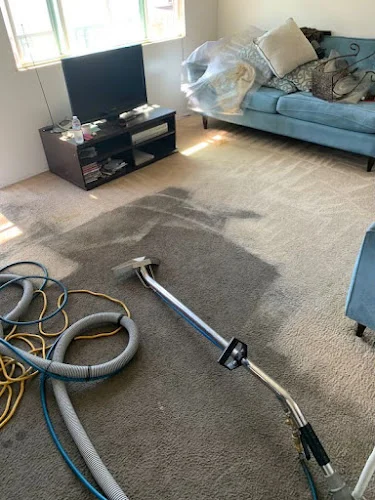 VR Green Cleaning