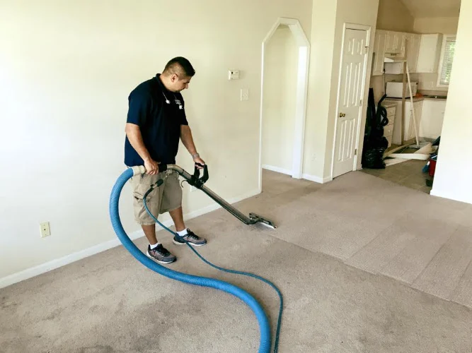 ProGreen Carpet