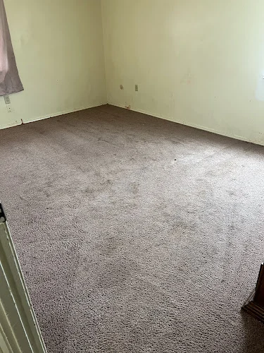 Brick City Carpet Cleaning