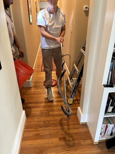 Charlotte Wildlife Removal