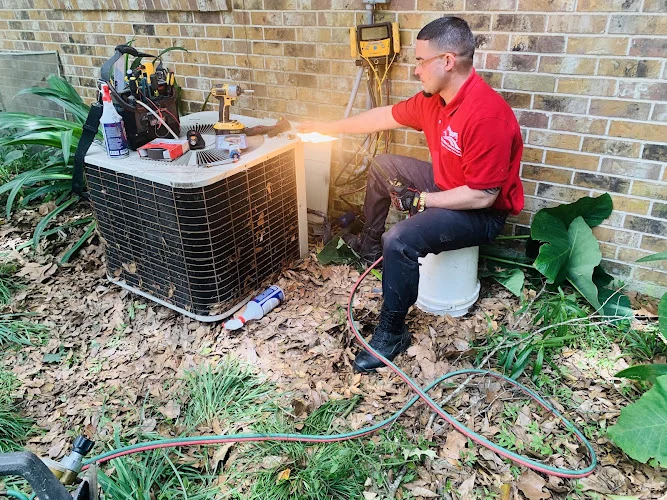 David's Same Day Services Inc.