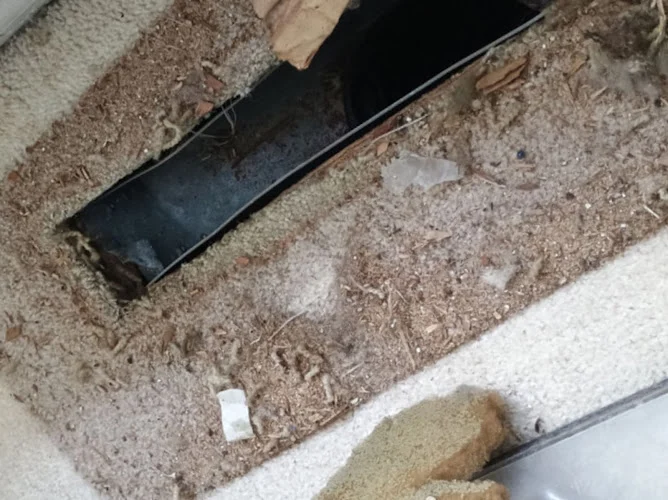 International Duct Service