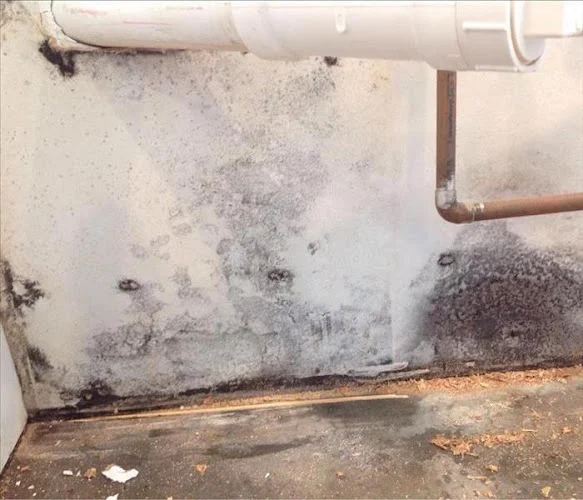 SERVPRO of Taunton, Mansfield, Seekonk, Dighton