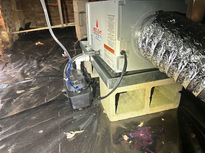 Bioclean Restoration - Chapel Hill