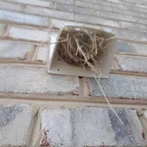 A Plus Enviro-Services Inc.