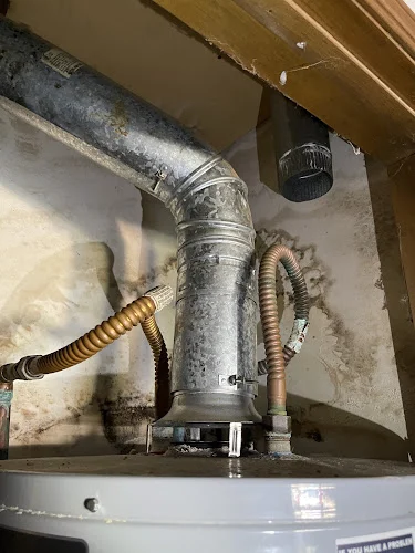 Best Mold Testing & Restoration Services, LLC