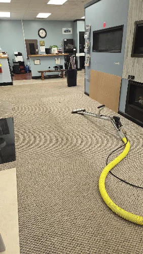 Stanley Steemer
