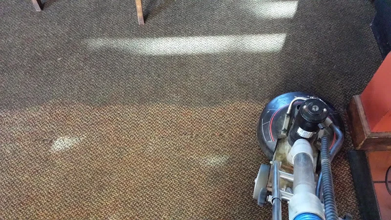 Suck It Up! Cleaning Service
